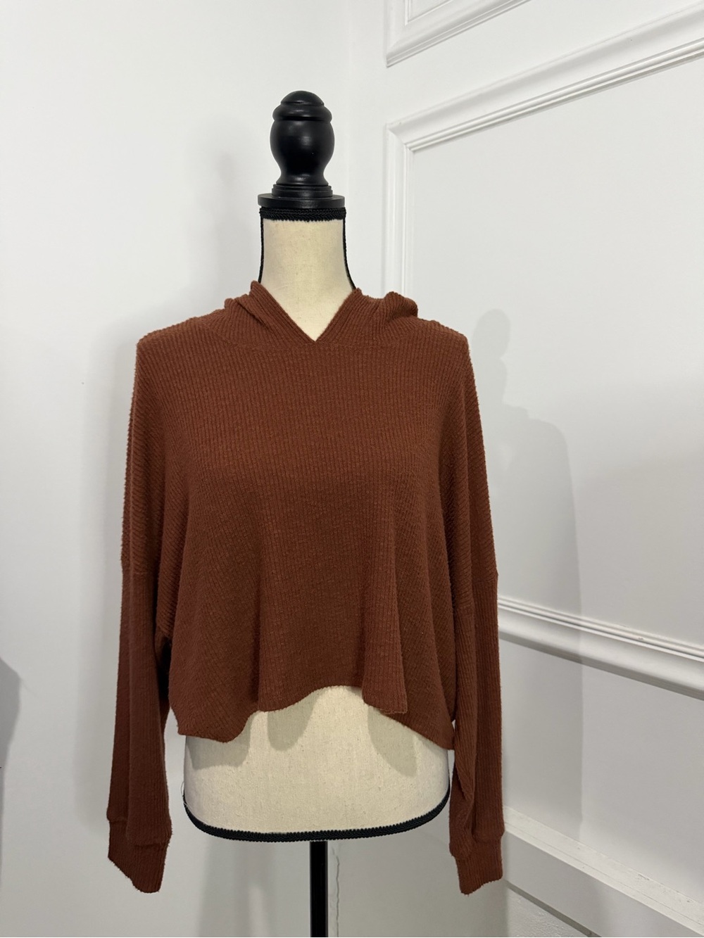 American Eagle Outfitters Cropped Hooded Knit Top - Brown